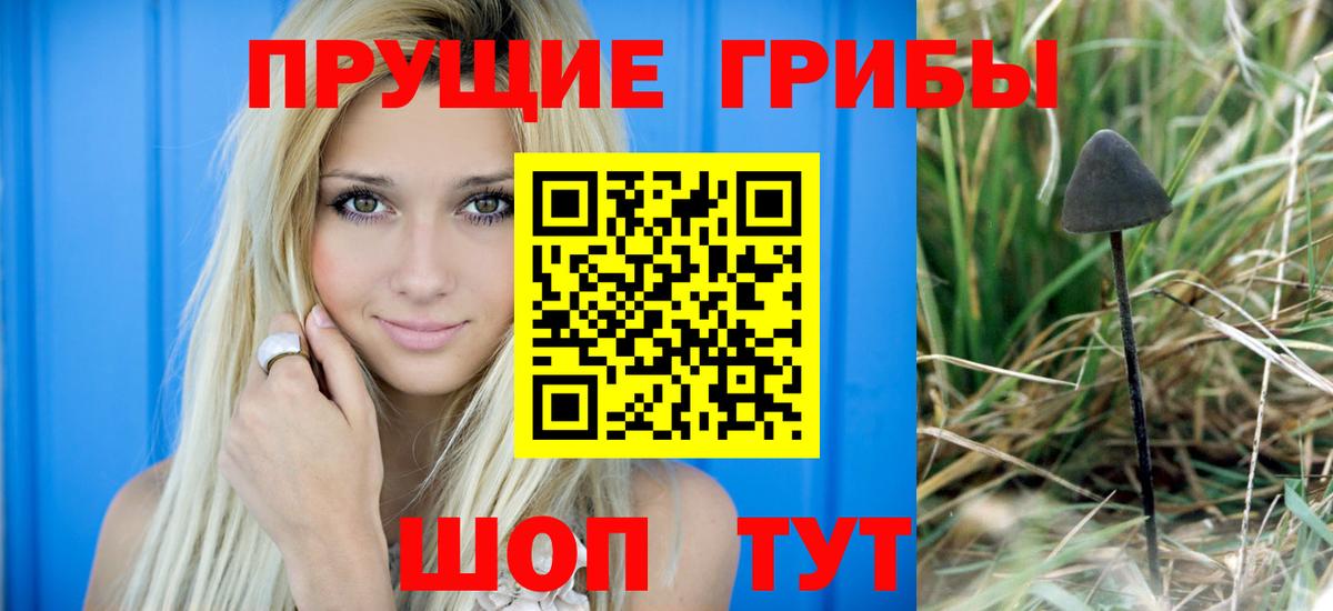 Галлюциногенные грибы GOLDEN TEACHER  Вход с VPN  что такое   Мурманск  Псилоцибиновые грибы Cubensis 